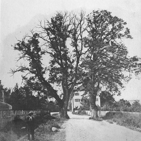 Hartmannshofen