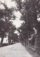 Die Alte Schwabinger 

Landstraße