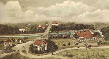 Bad 

Riesenfeld