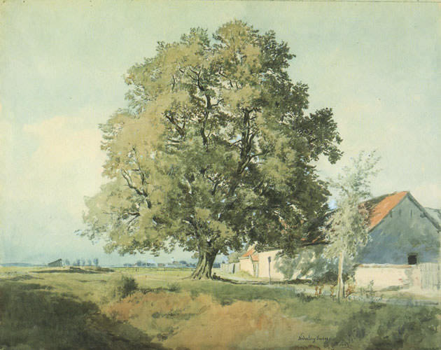 Nederling