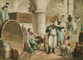 Der Brauer