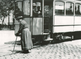 Schienenritzenreinigungsdame