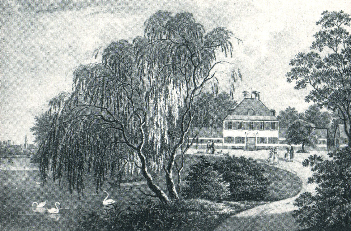 Schloß Biederstein