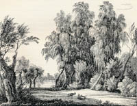 Gegend bey München