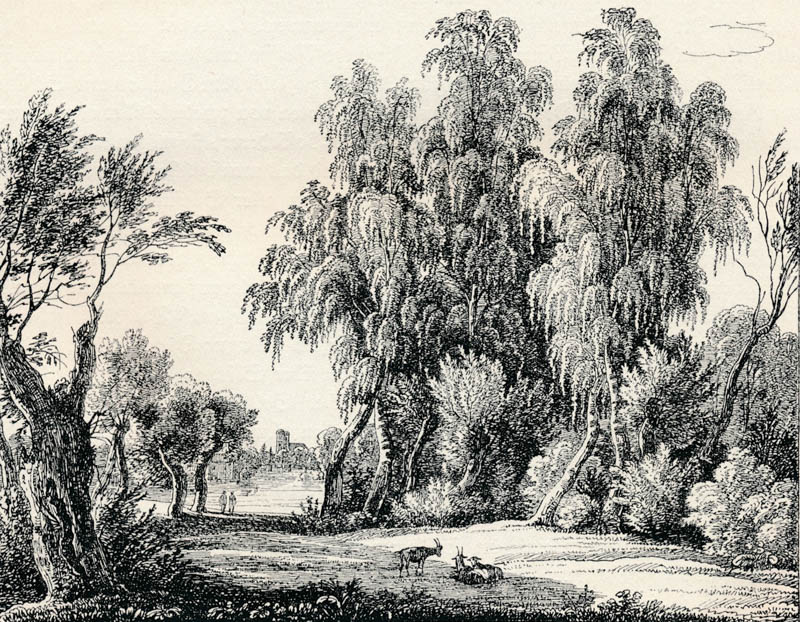 Gegend bey München