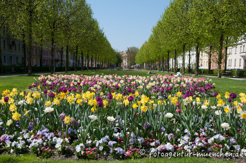 Bordeauxplatz