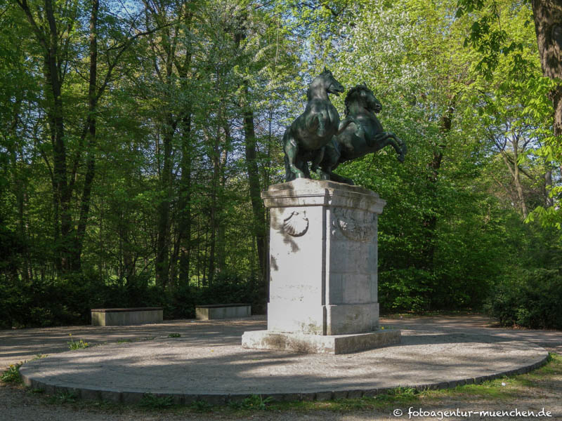 Wilde Pferde