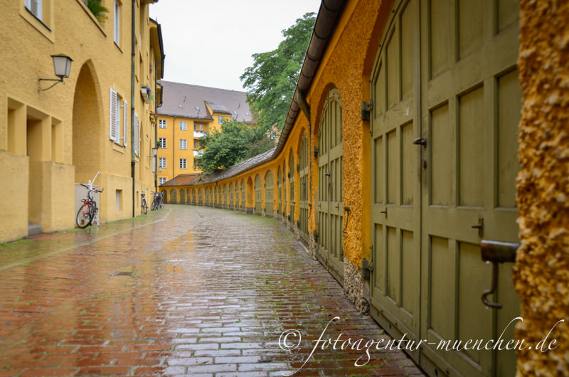 Borstei