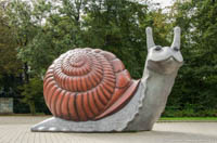Sweet Brown Snail