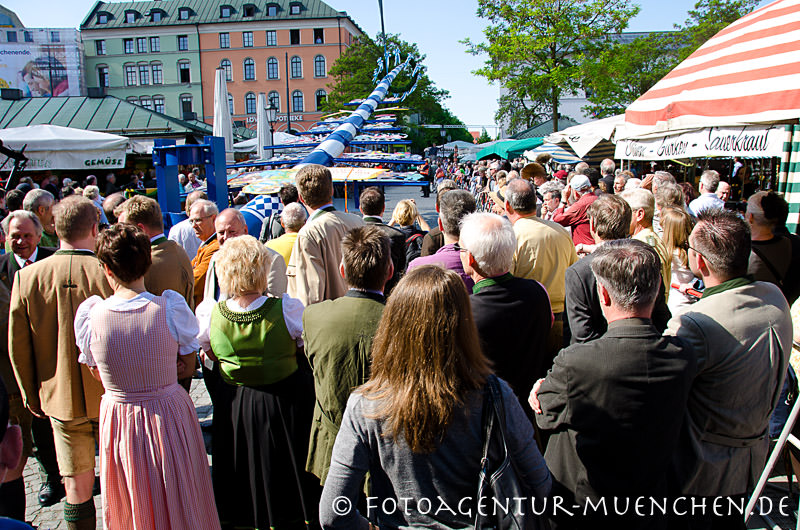 Maibaumaufstellung 2012 am Viktualienmarkt