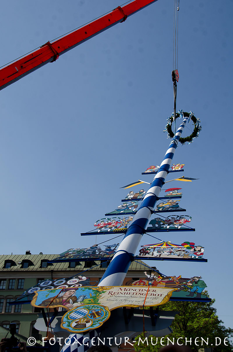 Maibaumaufstellung 2012