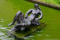 Aglaia