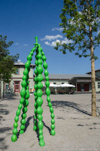 Sophora Sophia