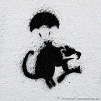 Stencil