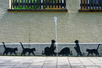 Gerhard Willhalm – Katzen