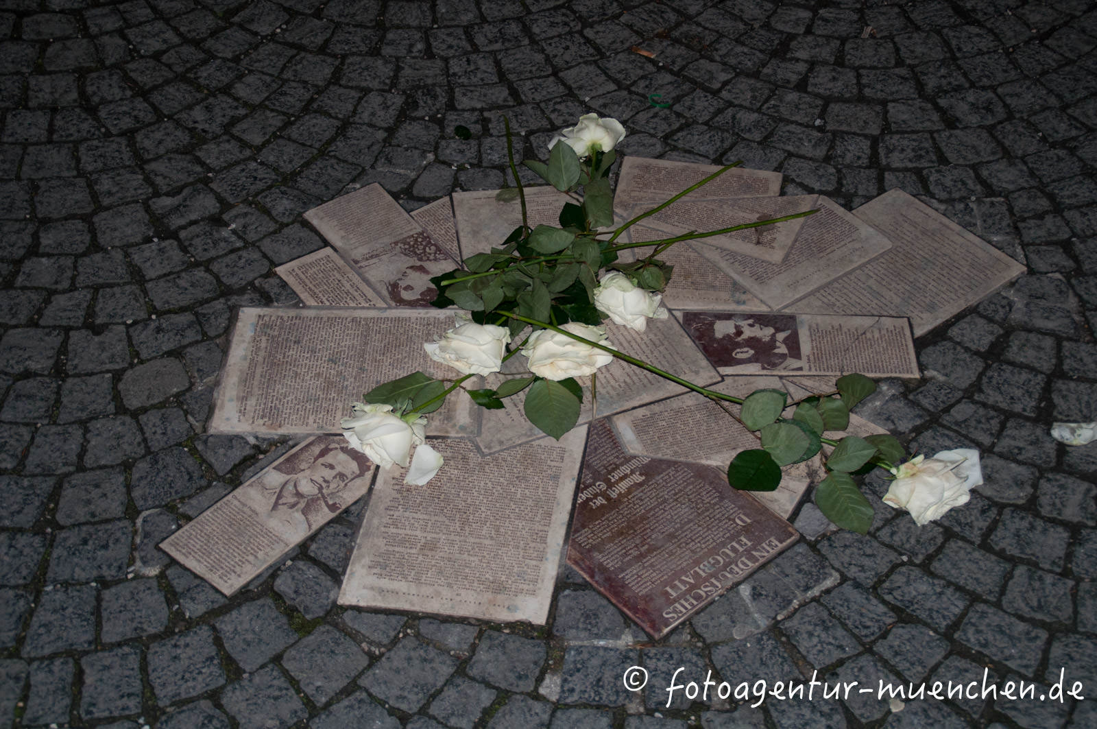 Bodendenkmal Weiße Rose