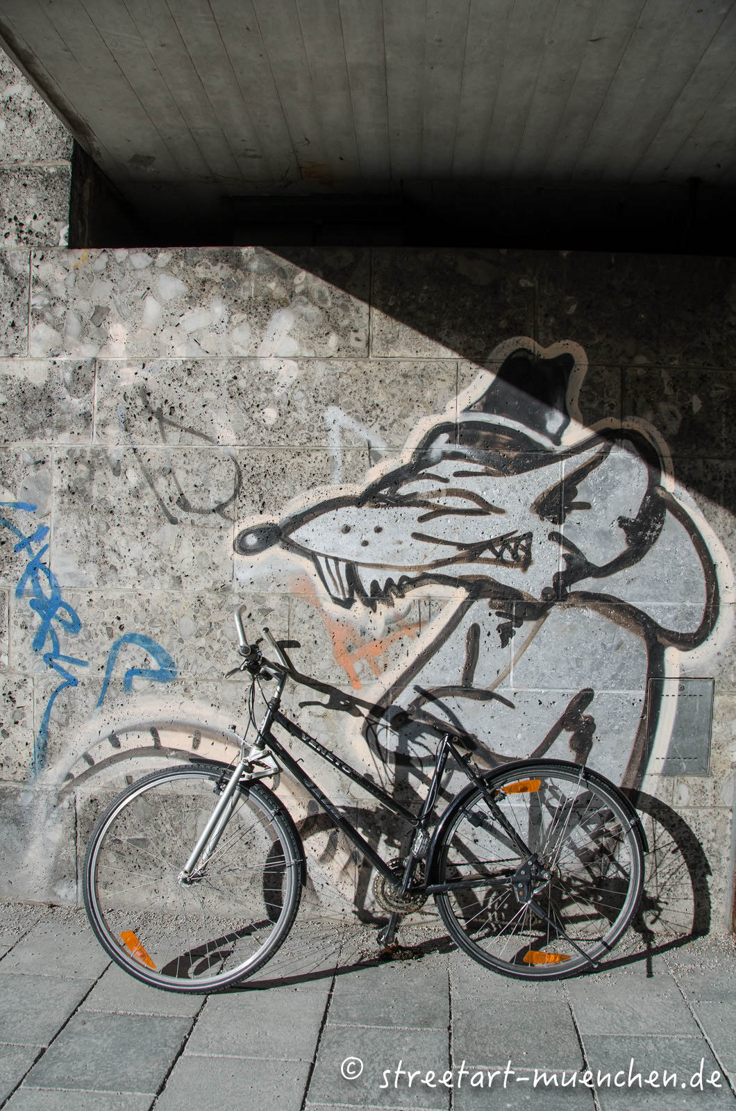 Ratte