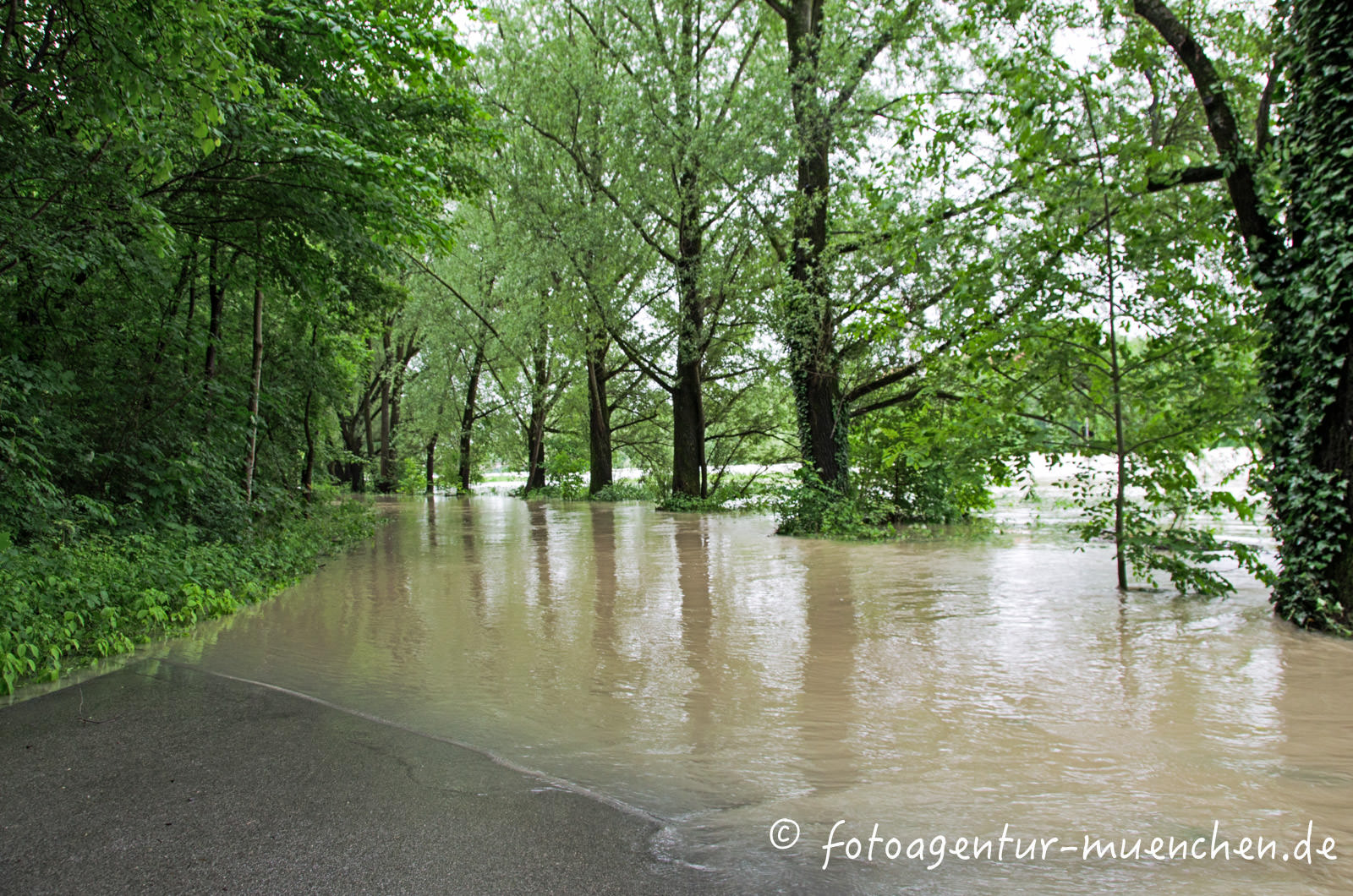 Hochwasser an der Isar