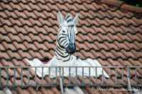 Gerhard Willhalm – Zebra in der Frauenhoferrstraße