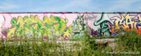Gerhard Willhalm – Graffiti im Viehhof