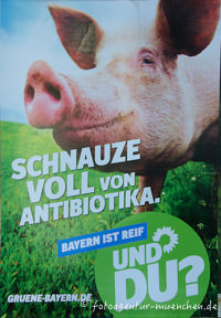 Wahlplakat Landtagswahl - Dir Grünen