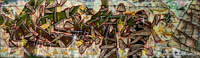 Graffiti im Viehhof