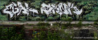 Graffiti im Viehhof