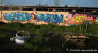 Graffiti im Viehhof