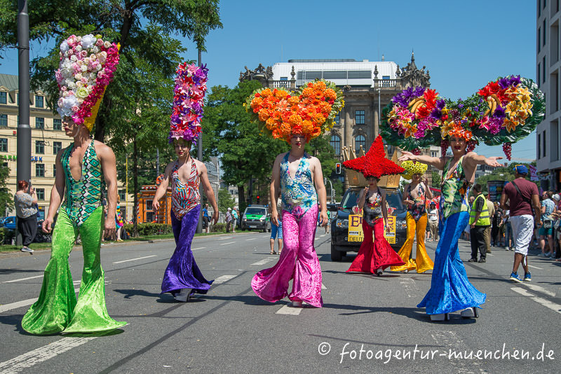CSD 2014