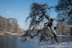 Impressionen Kleinhesseloher See