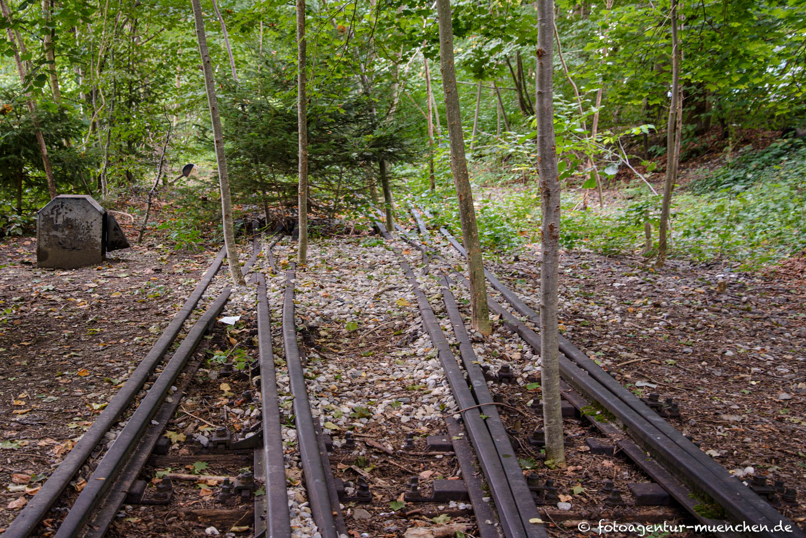 Schienen der ehemaligen Isartalbahn