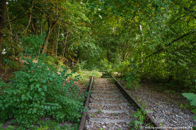 Schienen der ehemaligen Isartalbahn
