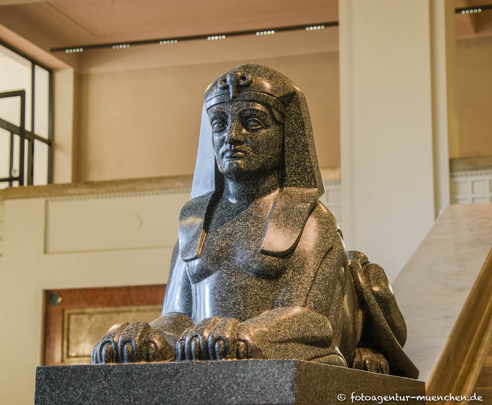 Sphinx - Neue Anatomie