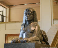 Gerhard Willhalm – Sphinx - Neue Anatomie