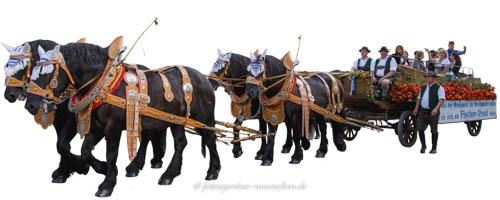 Gerhard Willhalm - Festwagen - Fischer-Vroni