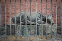 Ochsenbrunnen