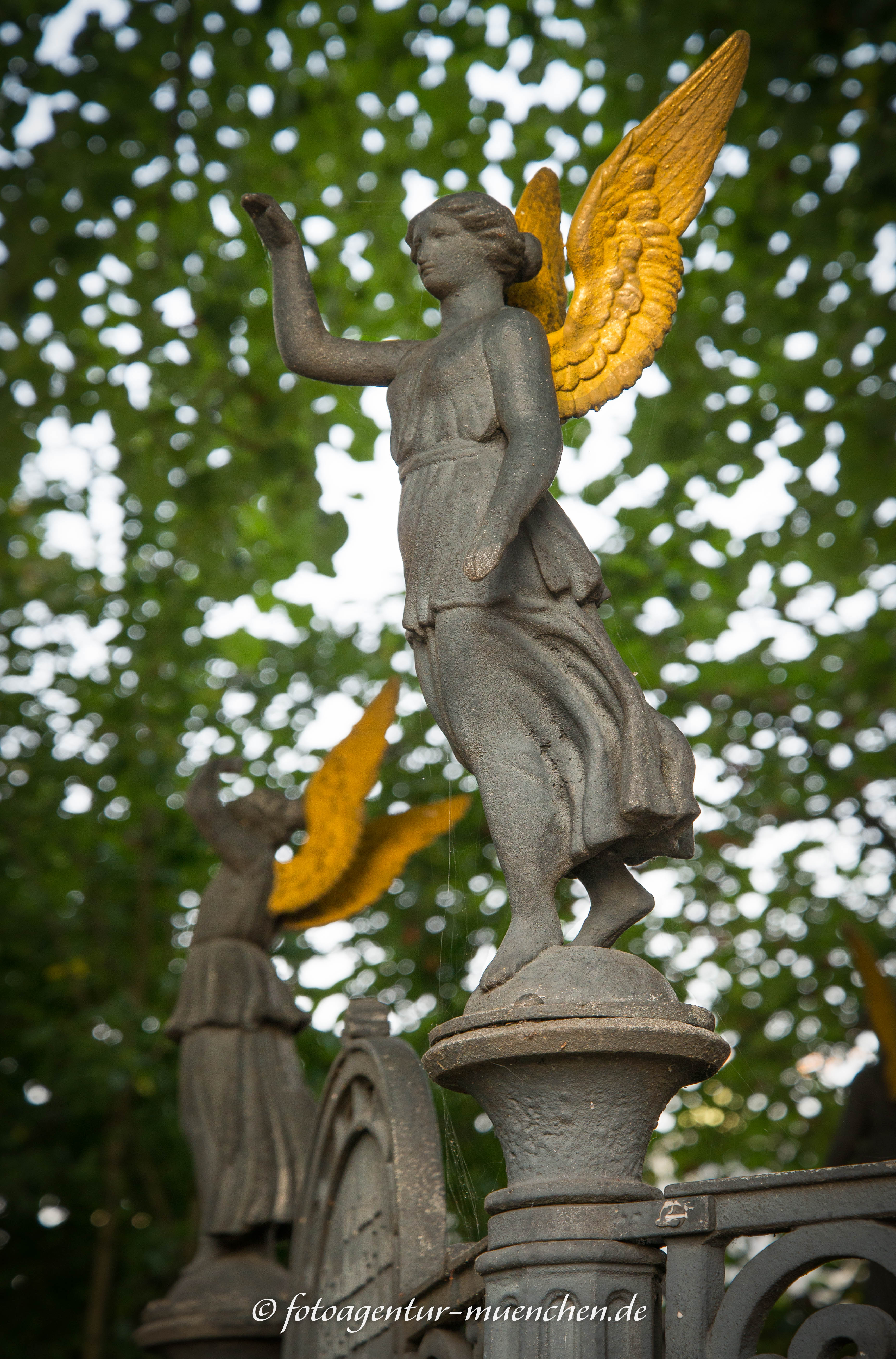 Friedenslinde