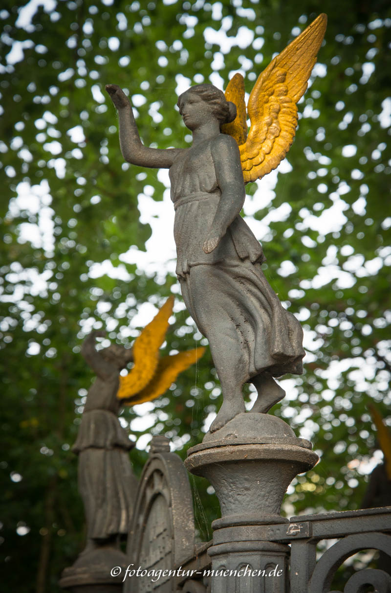 Friedenslinde