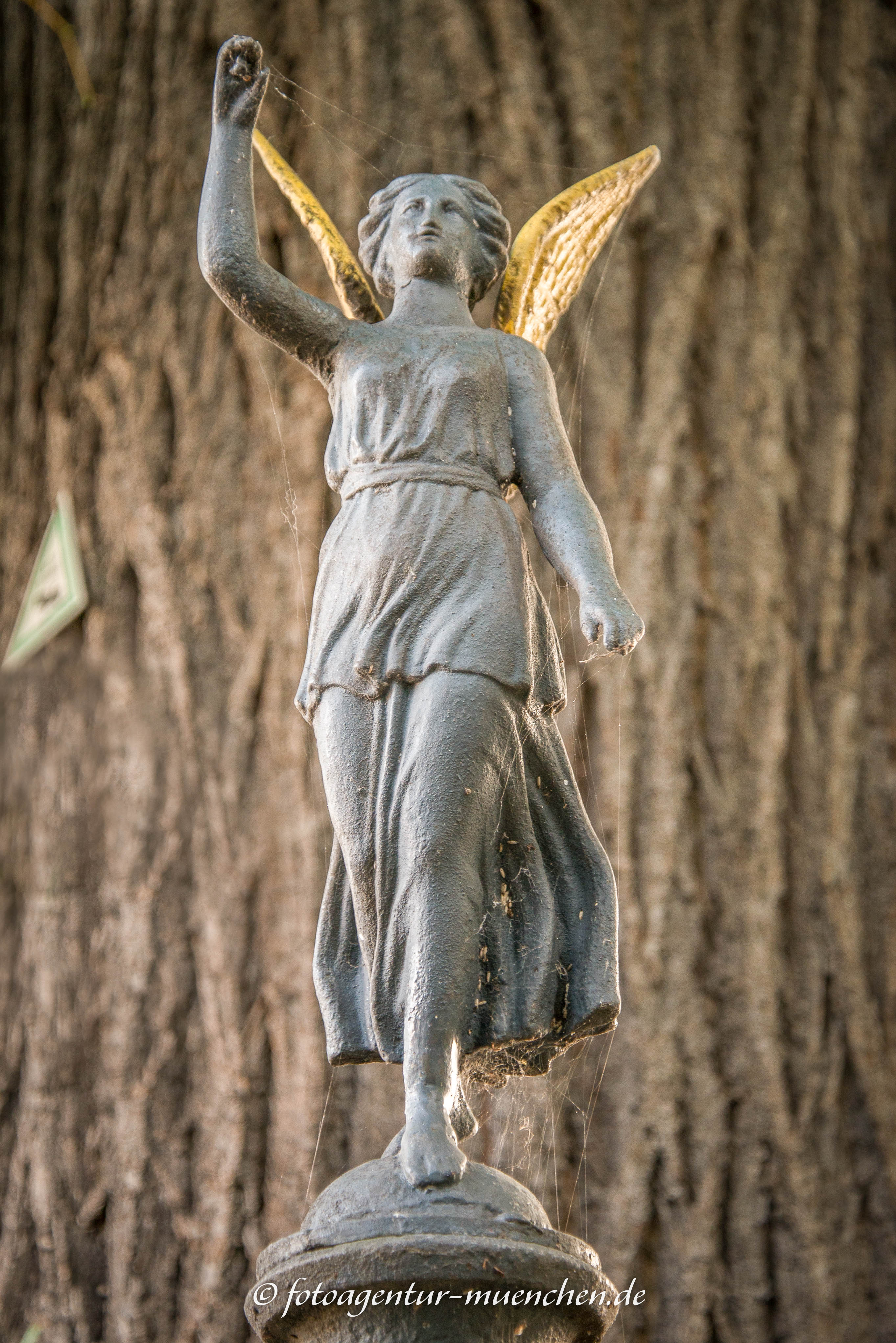 Friedenslinde