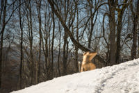 Frau in Landschaft