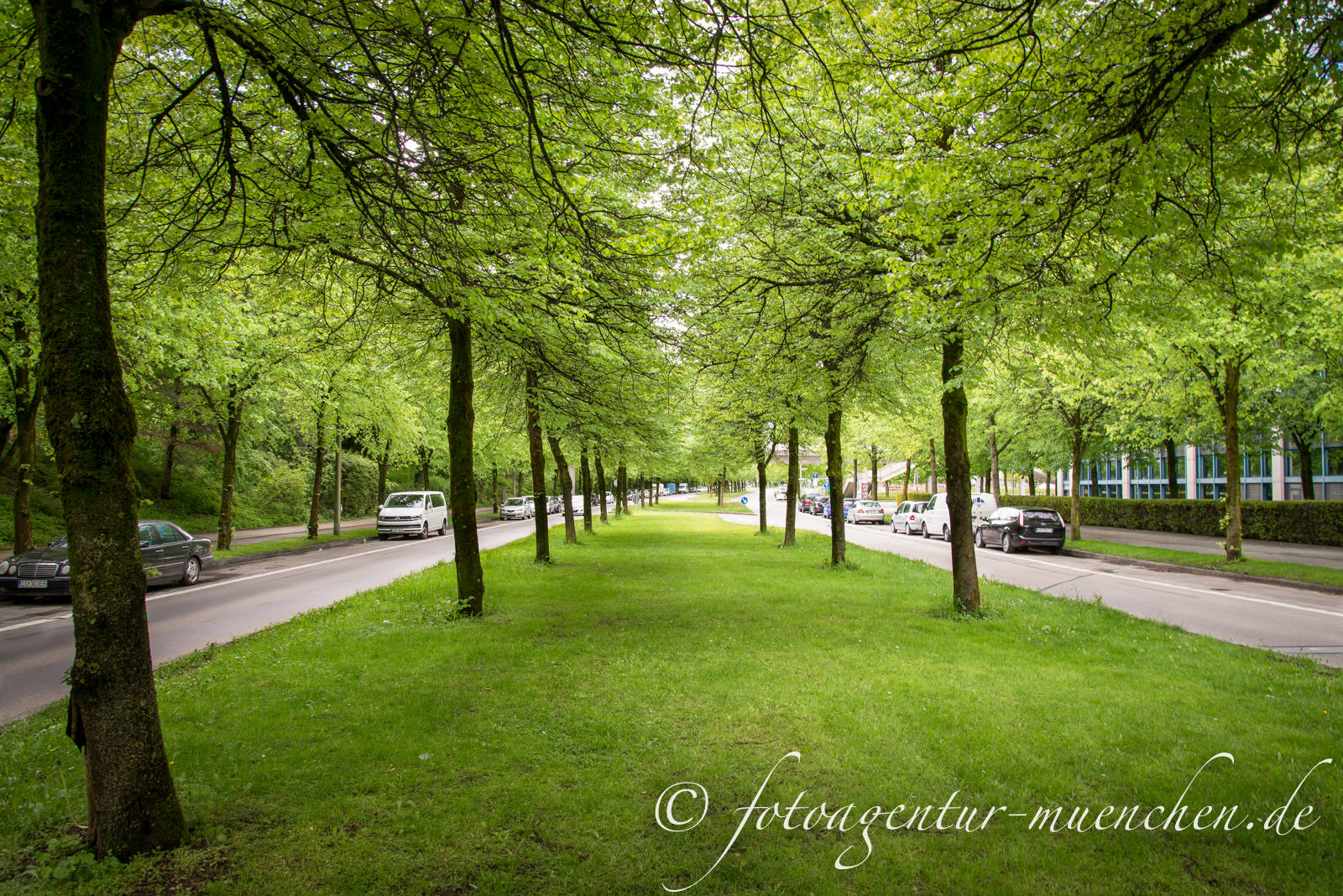 Ehemalige Straßenbahntrasse in Neuperlach