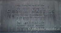 Martius