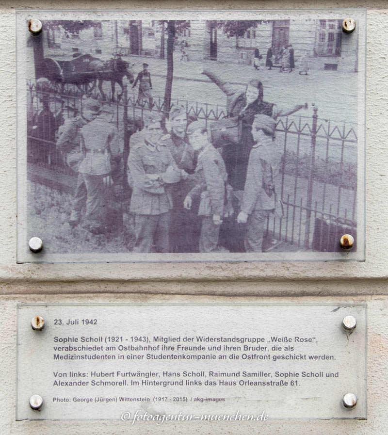 Gedenktafel - Weiße Rose