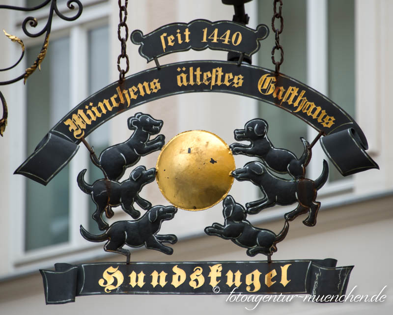 Nasenschild - Hundskugel