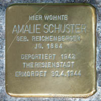 Porträt von Schuster Amalie
