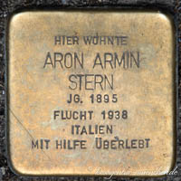 Porträt von Stern Aron Armin
