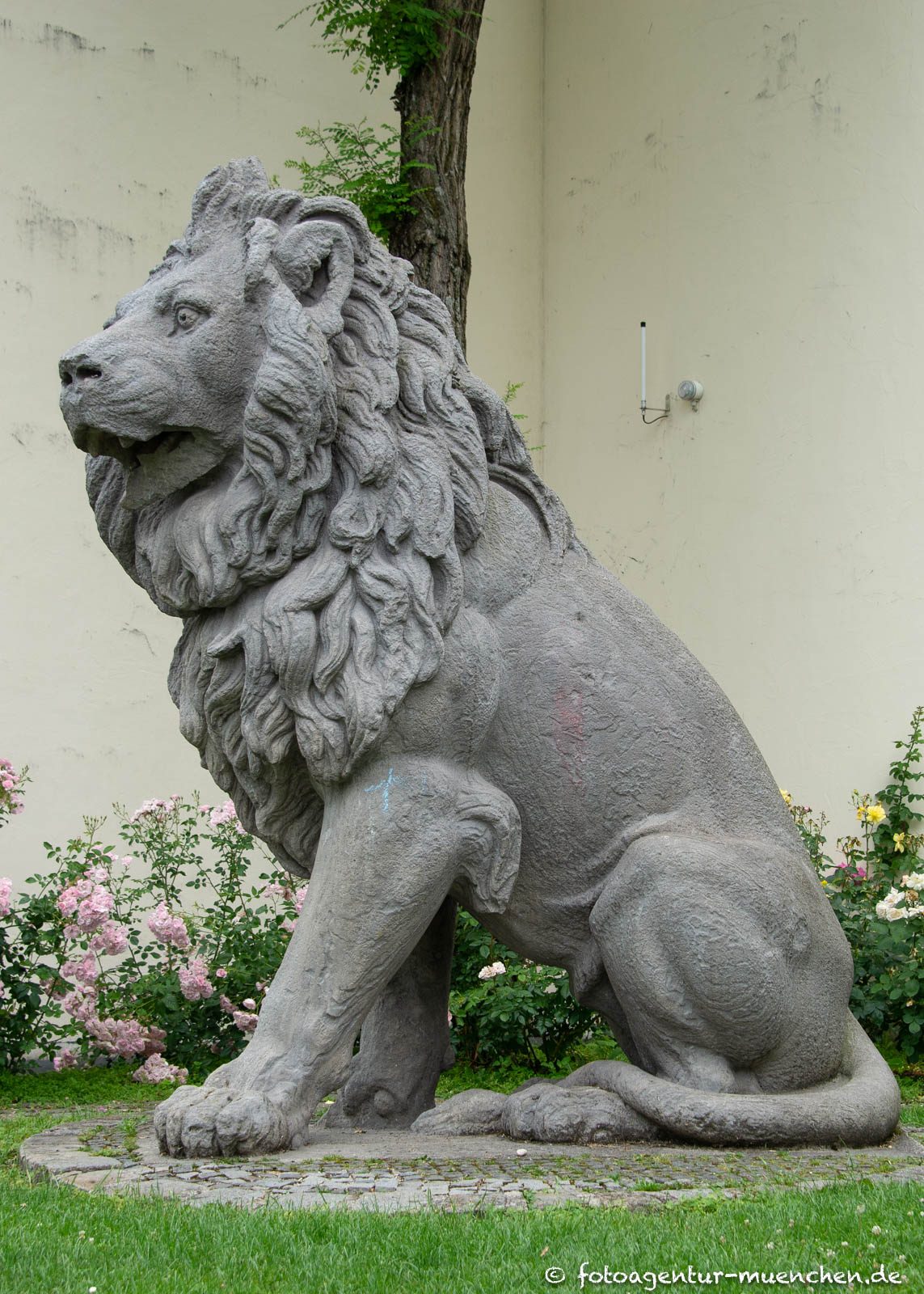 Wittelsbacher Löwe