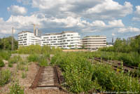 Baumkirchen Mitte - Ökologische Ausgleichsfläche