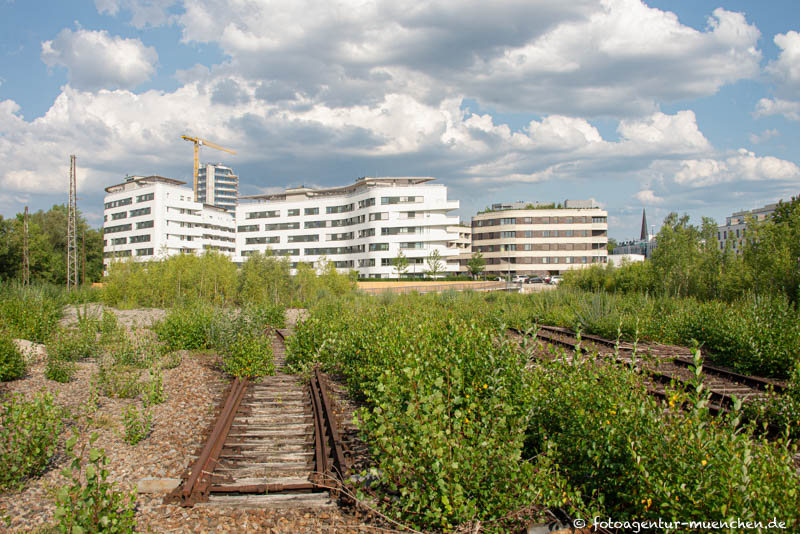 Baumkirchen Mitte - Ökologische Ausgleichsfläche