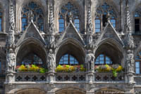 Gerhard Willhalm – Münchner Rathaus - Neue Balkonbepflanzung
